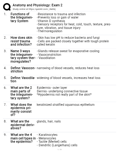 Anatomy & Physiology  Exam 2