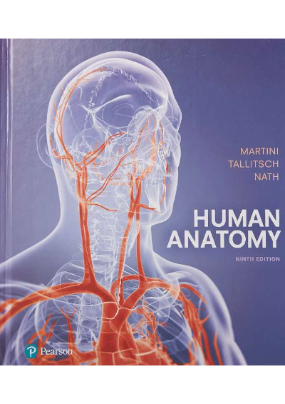human anatomy martini 9th edition